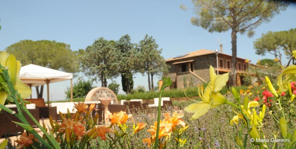 Locanda Rossovino Country house